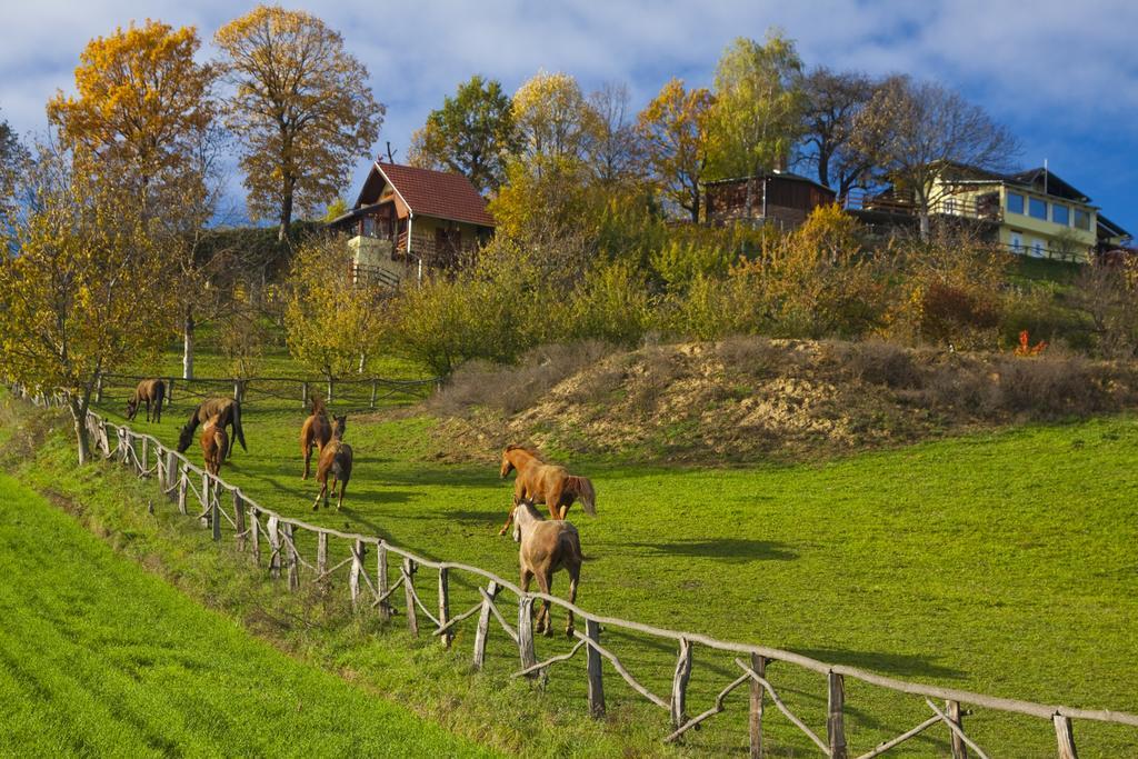 Country House Na Malenom Brijegu Bjelovar Rum bild