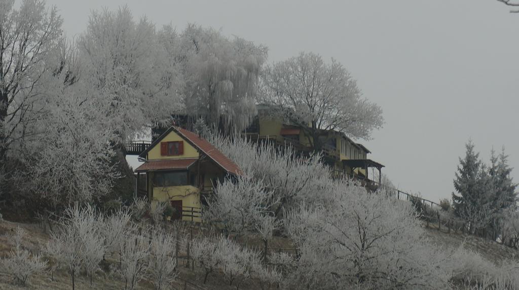 Country House Na Malenom Brijegu Bjelovar Exteriör bild